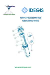 ELECTRODE SALINE, IDEGIS TECNO DT-12, (12 GRAMMES / HEURE)